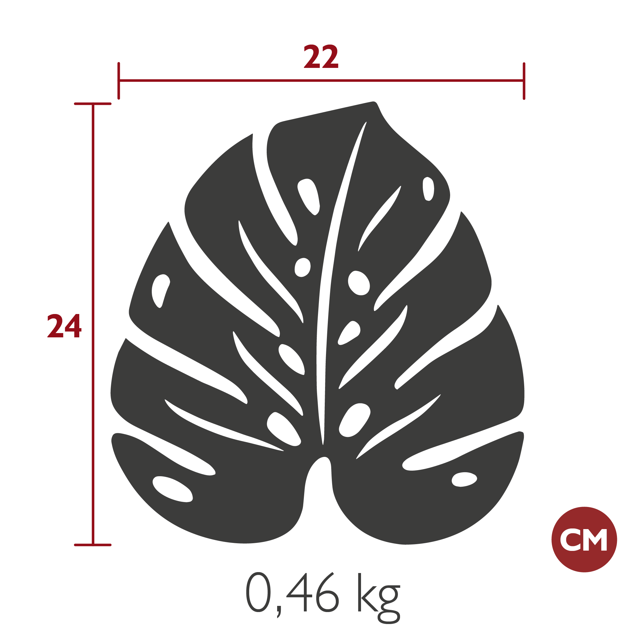Product image dimension